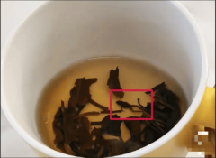根茶2024年4月发布的年度财报